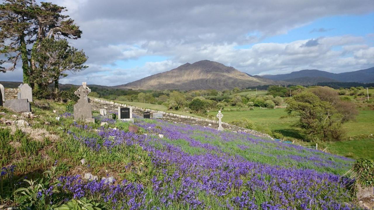 Kenmare Eco Lodge ภายนอก รูปภาพ