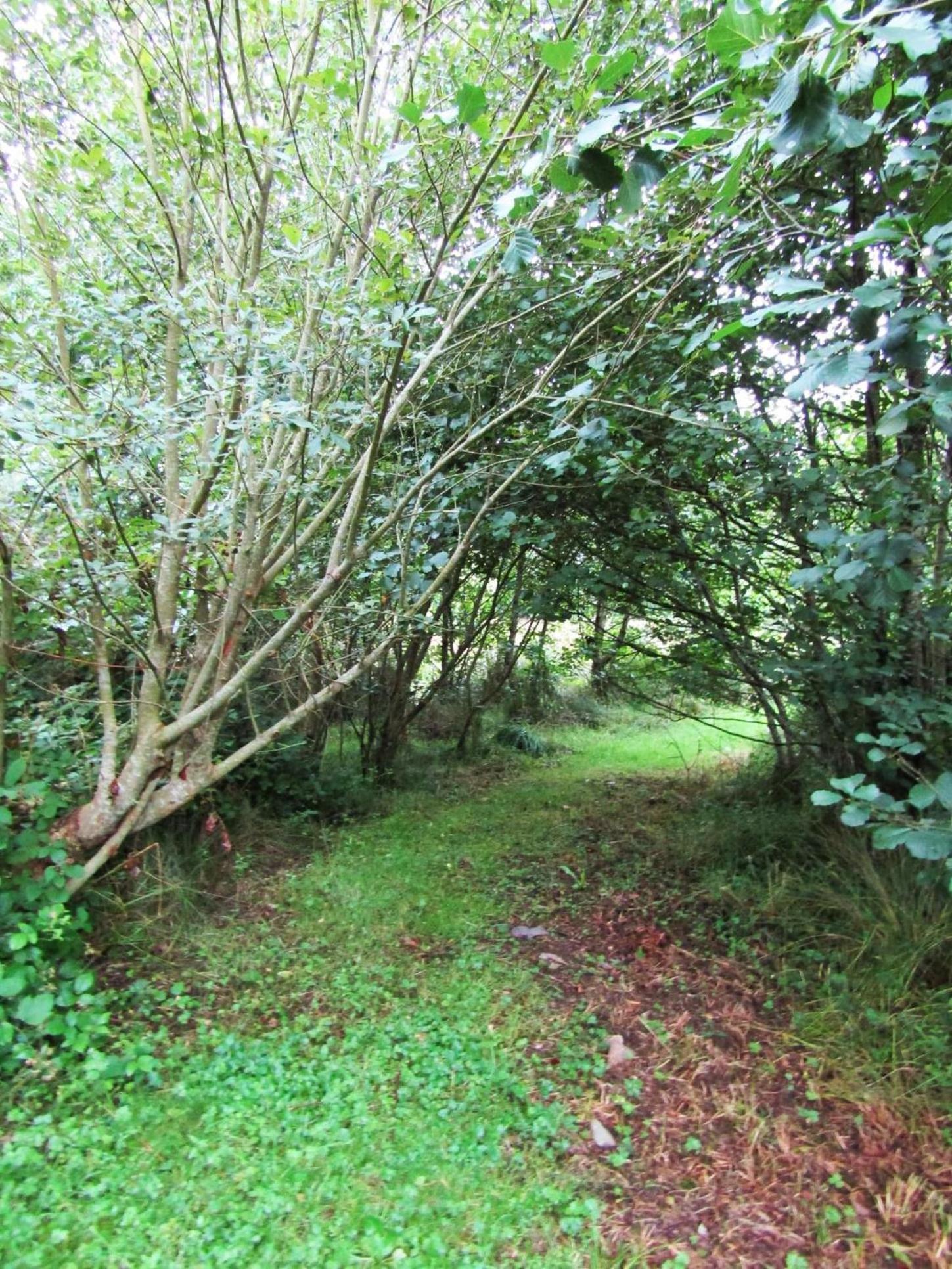Kenmare Eco Lodge ภายนอก รูปภาพ