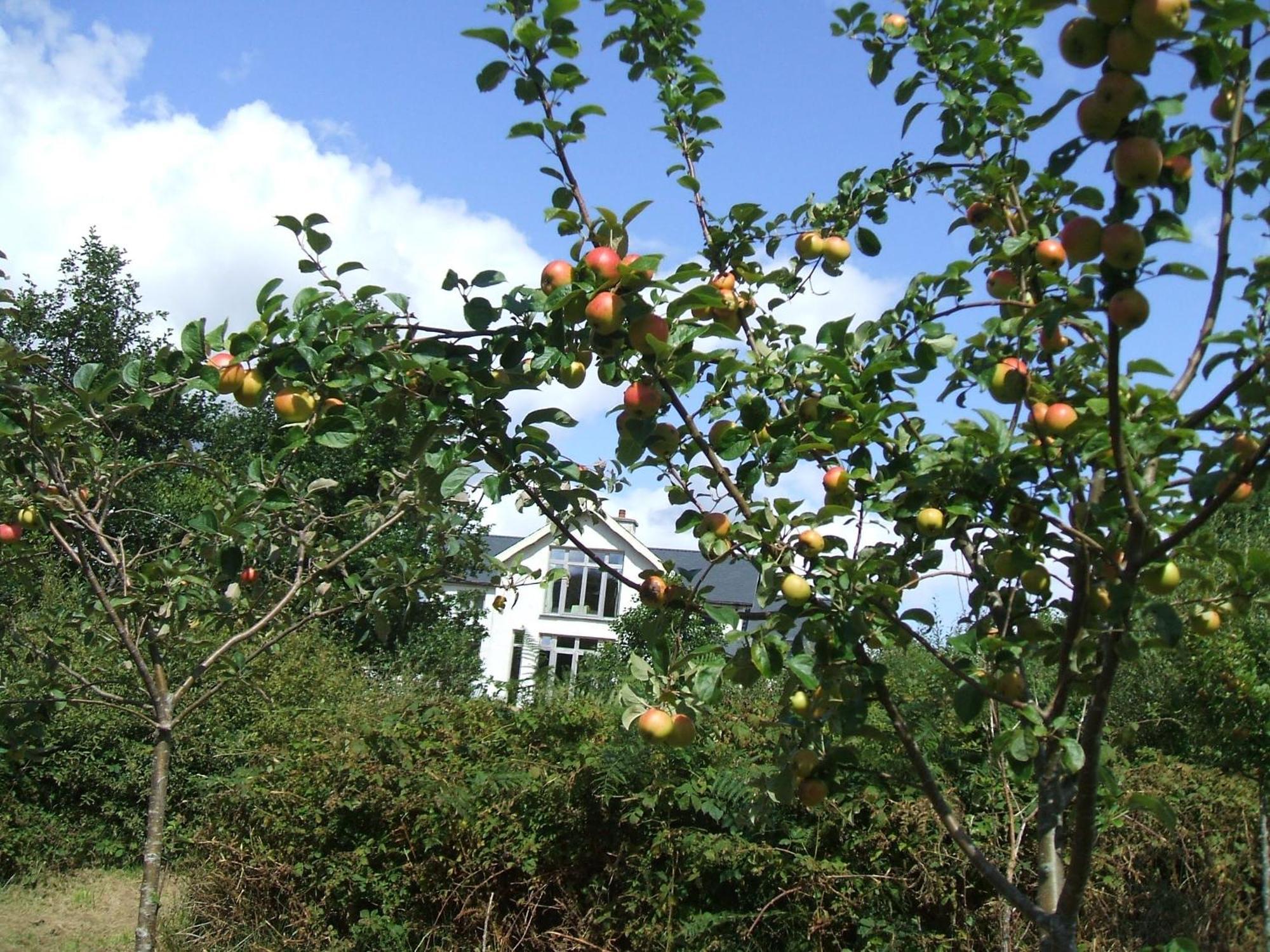 Kenmare Eco Lodge ภายนอก รูปภาพ